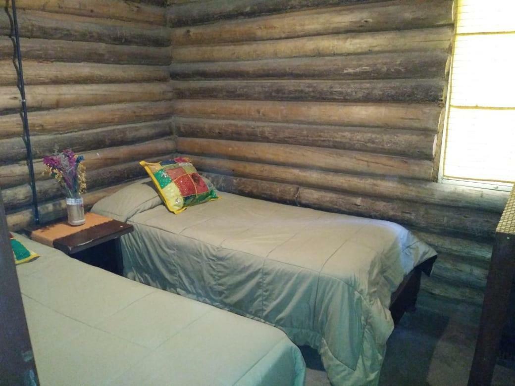 Cabanas Alto Bermejo Villa Мендоса Екстериор снимка