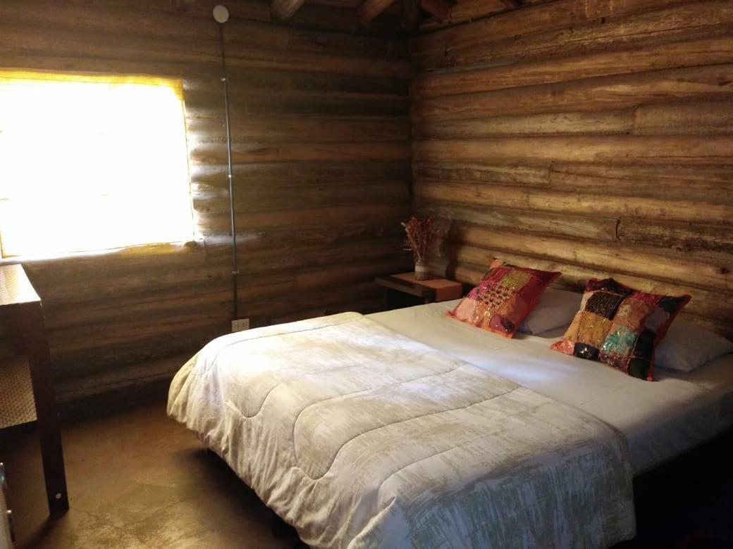 Cabanas Alto Bermejo Villa Мендоса Екстериор снимка