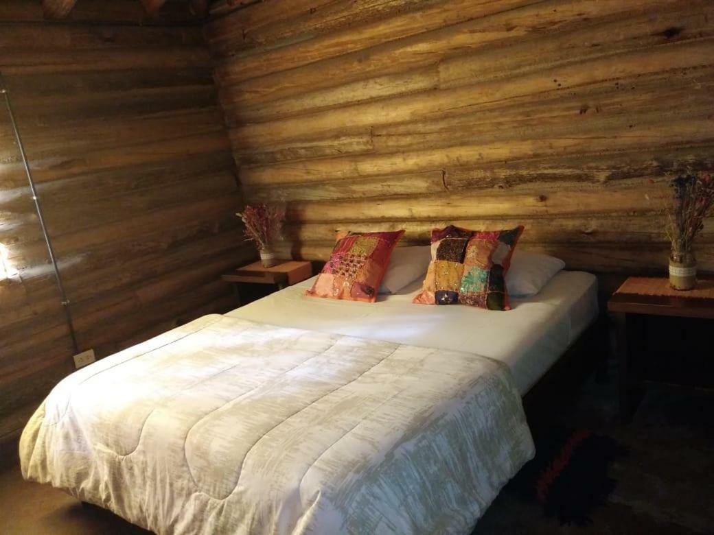 Cabanas Alto Bermejo Villa Мендоса Екстериор снимка