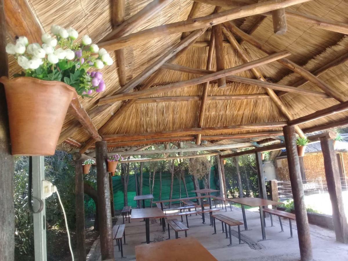 Cabanas Alto Bermejo Villa Мендоса Екстериор снимка