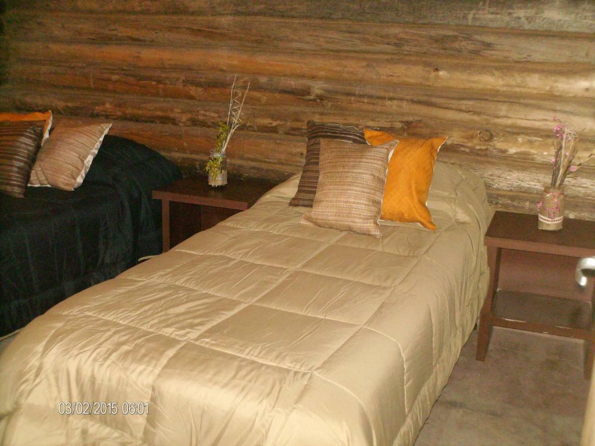 Cabanas Alto Bermejo Villa Мендоса Екстериор снимка
